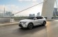 VinFast VF 8 chinh phục 2.000 km xuyên Việt: Chủ xe an tâm tuyệt đối nhờ hậu mãi số 1 thị trường